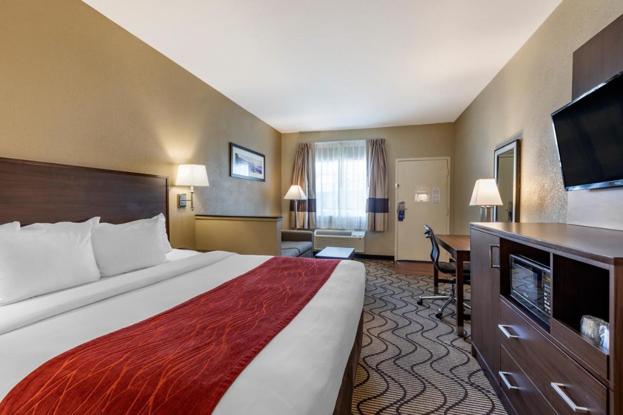 Suite, 1 King Bed with Sofa Bed, Non Smoking,1382766068:JPEG